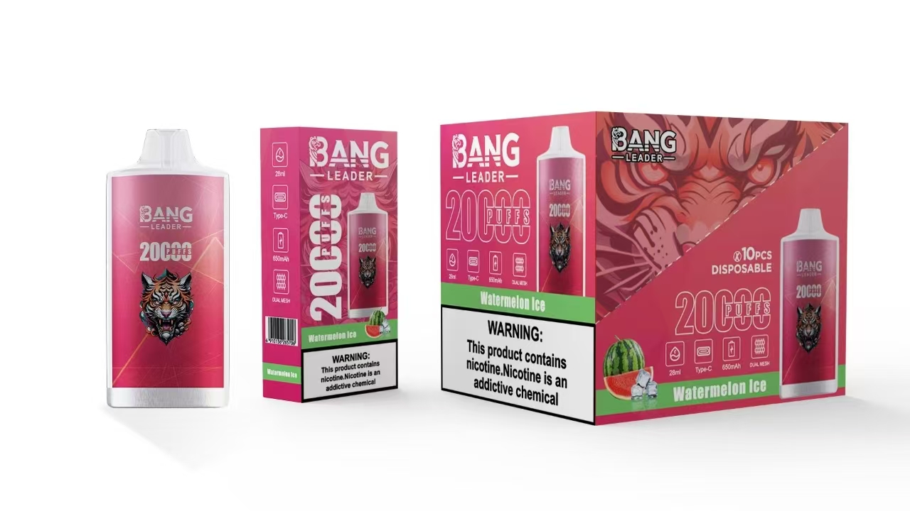BANG LEADER 20K Puffs Disposable Vape gallery image 8