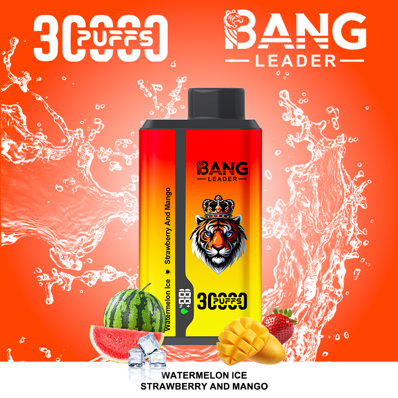 BANG LEADER 30K Dual Flavor Puffs Disposable Vape gallery image 8
