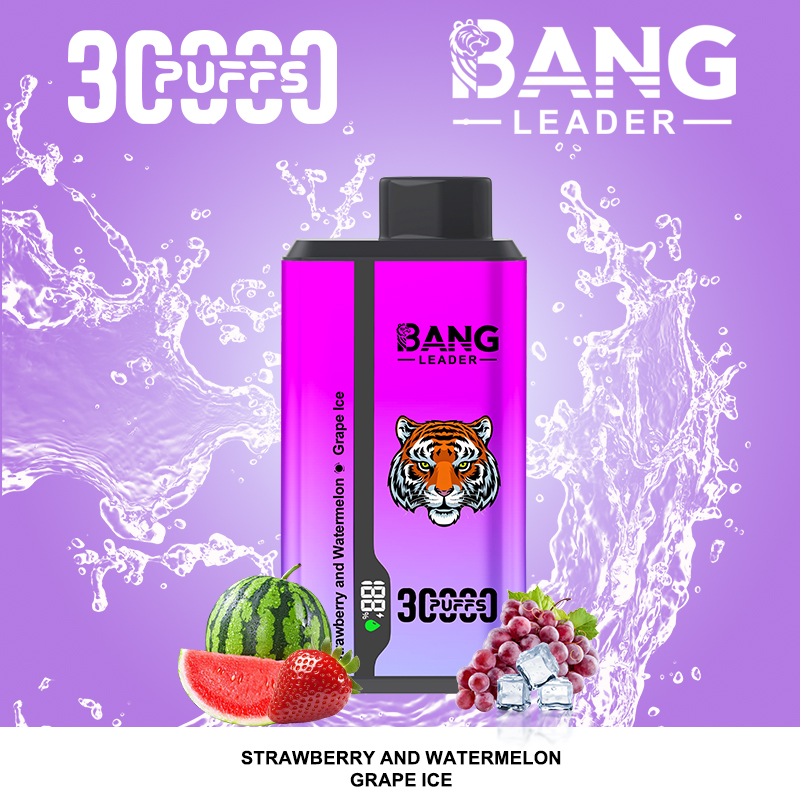 BANG LEADER 30K Dual Flavor Puffs Disposable Vape