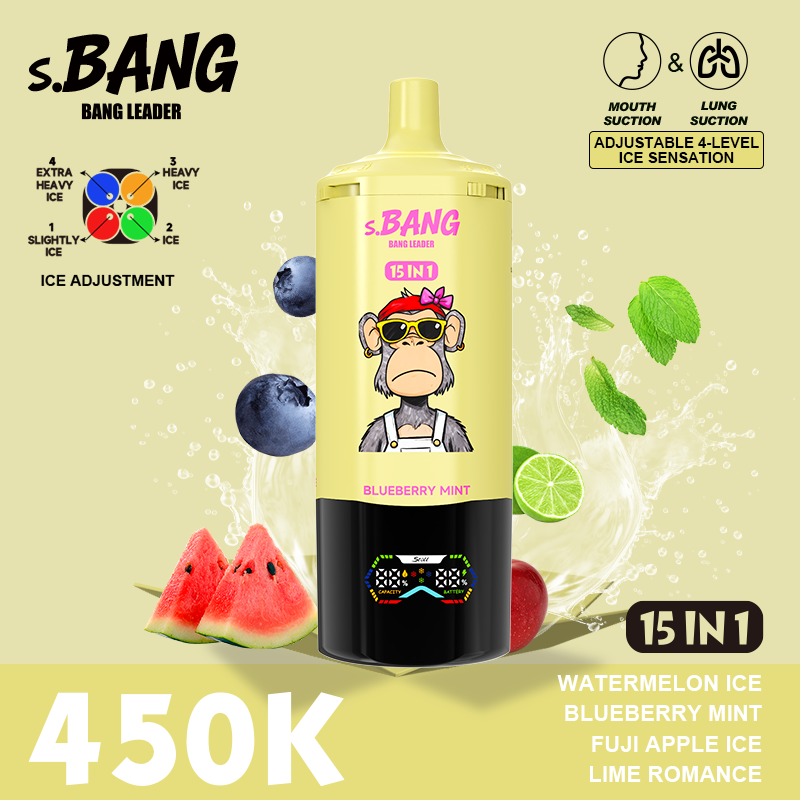 BANG LEADER 450K 15-in-1 Puffs Disposable Vape gallery image 8