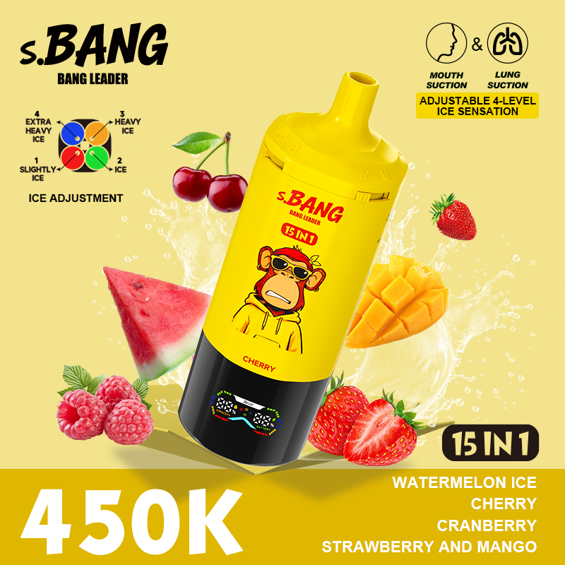 BANG LEADER 450K 15-in-1 Puffs Disposable Vape