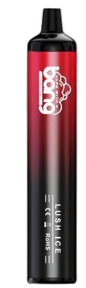 Bang 12K Pen 12000 Puffs Disposable Vape gallery image 2