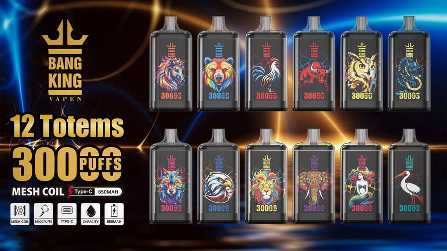 Bang King 30000 puffs Disposable Vape gallery image 1