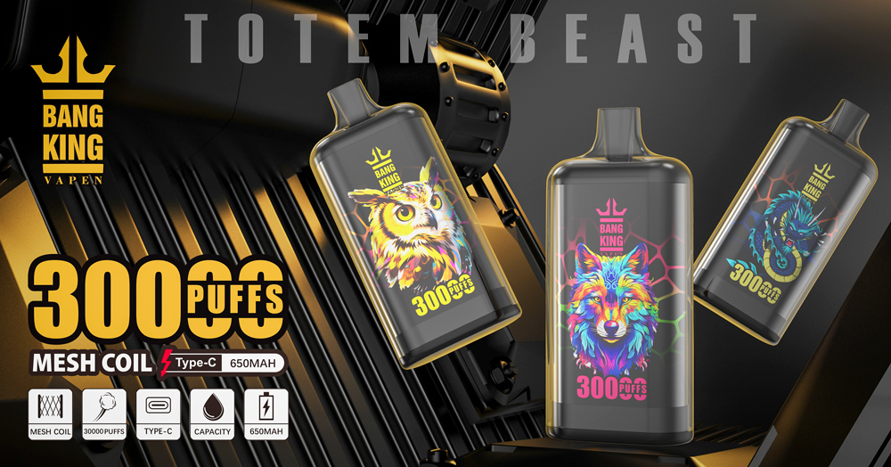 Bang King 30000 puffs Disposable Vape gallery image 2