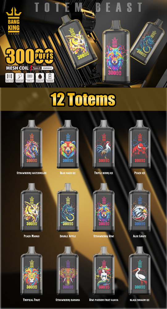 Bang King 30000 puffs Disposable Vape gallery image 3