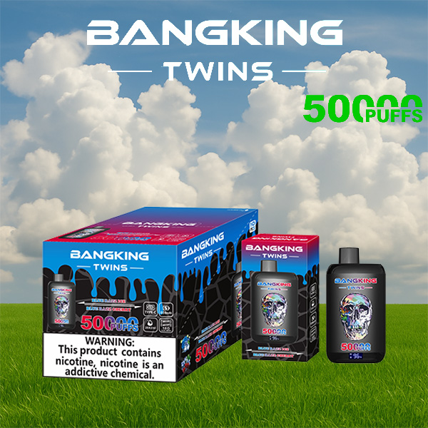 Bang King Twins 50000 Puffs Vape | 650mAh, Dual 28ml Pods | 12 Flavor Combos | Type-C Charging | OEM/ODM Available gallery image 1