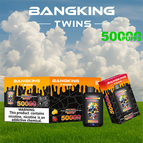 Bang King Twins 50000 Puffs Vape | 650mAh, Dual 28ml Pods | 12 Flavor Combos | Type-C Charging | OEM/ODM Available gallery image 2
