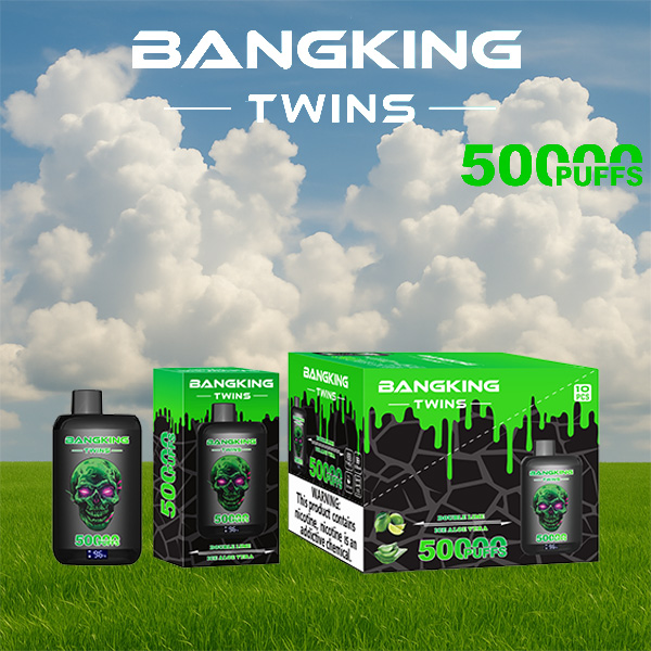 Bang King Twins 50000 Puffs Vape | 650mAh, Dual 28ml Pods | 12 Flavor Combos | Type-C Charging | OEM/ODM Available gallery image 3