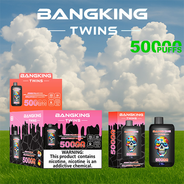 Bang King Twins 50000 Puffs Vape | 650mAh, Dual 28ml Pods | 12 Flavor Combos | Type-C Charging | OEM/ODM Available gallery image 4