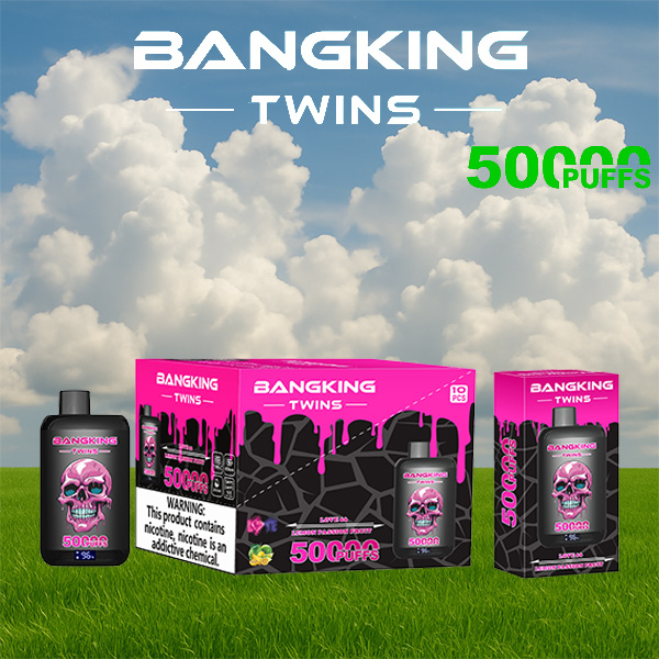 Bang King Twins 50000 Puffs Vape | 650mAh, Dual 28ml Pods | 12 Flavor Combos | Type-C Charging | OEM/ODM Available gallery image 5