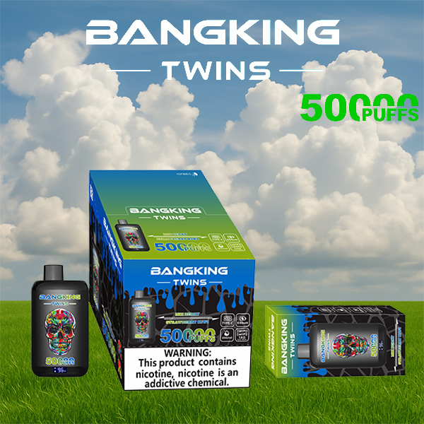 Bang King Twins 50000 Puffs Vape | 650mAh, Dual 28ml Pods | 12 Flavor Combos | Type-C Charging | OEM/ODM Available gallery image 6