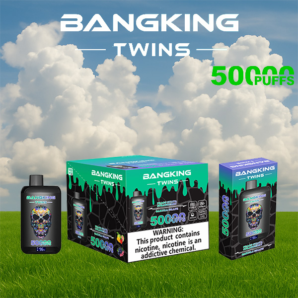 Bang King Twins 50000 Puffs Vape | 650mAh, Dual 28ml Pods | 12 Flavor Combos | Type-C Charging | OEM/ODM Available gallery image 7