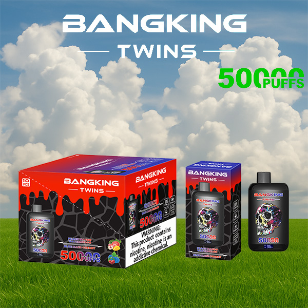 Bang King Twins 50000 Puffs Vape | 650mAh, Dual 28ml Pods | 12 Flavor Combos | Type-C Charging | OEM/ODM Available gallery image 8