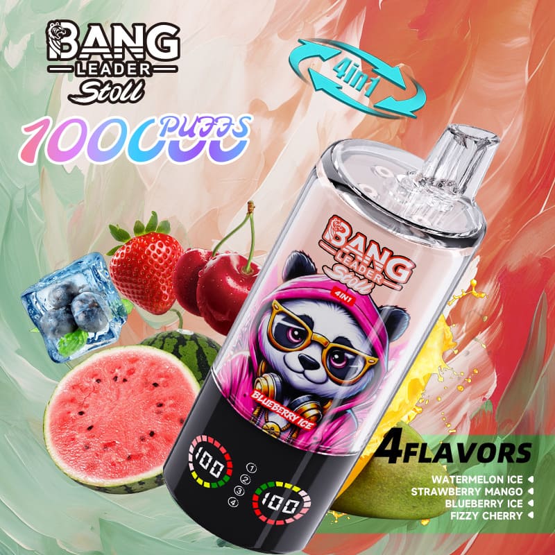 Bang Leader 100000 Puffs 4-in-1 Vape – Multi-Flavor System | 850mAh Power | Mesh Coil | Type-C Recharge | OEM/ODM gallery image 1