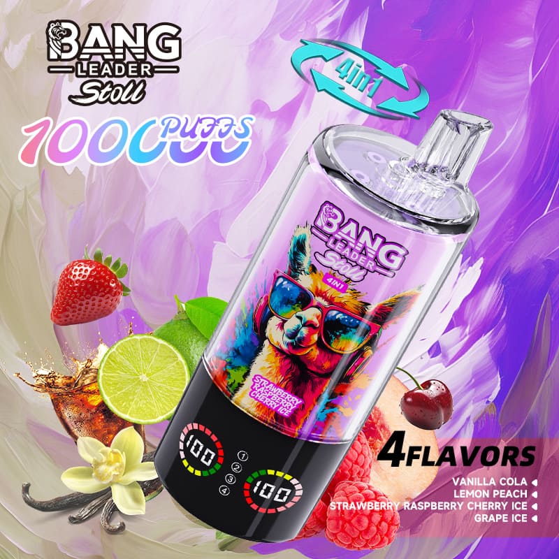 Bang Leader 100000 Puffs 4-in-1 Vape – Multi-Flavor System | 850mAh Power | Mesh Coil | Type-C Recharge | OEM/ODM gallery image 2