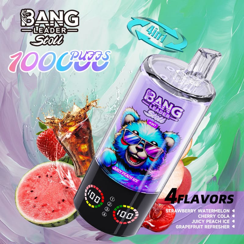 Bang Leader 100000 Puffs 4-in-1 Vape – Multi-Flavor System | 850mAh Power | Mesh Coil | Type-C Recharge | OEM/ODM gallery image 3