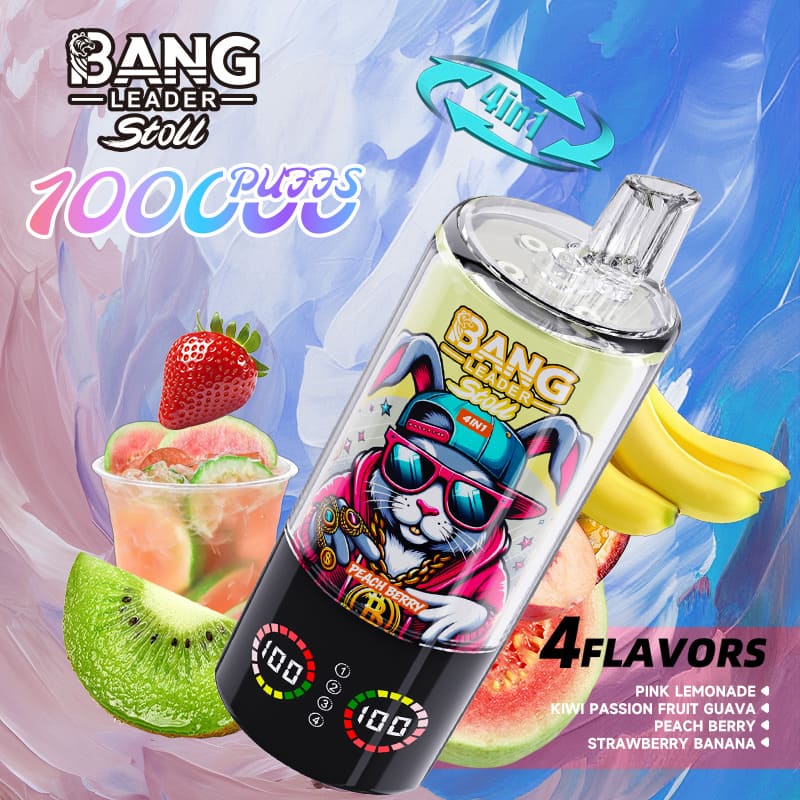 Bang Leader 100000 Puffs 4-in-1 Vape – Multi-Flavor System | 850mAh Power | Mesh Coil | Type-C Recharge | OEM/ODM gallery image 5