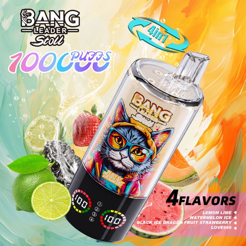 Bang Leader 100000 Puffs 4-in-1 Vape – Multi-Flavor System | 850mAh Power | Mesh Coil | Type-C Recharge | OEM/ODM gallery image 7