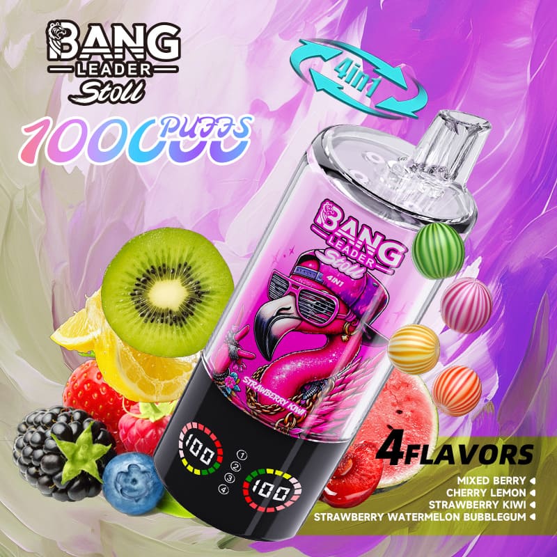 Bang Leader 100000 Puffs 4-in-1 Vape – Multi-Flavor System | 850mAh Power | Mesh Coil | Type-C Recharge | OEM/ODM gallery image 8