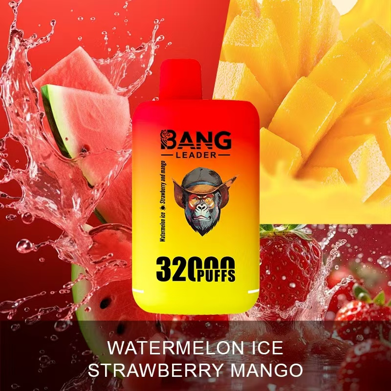 Bang Leader 32000 Puffs Disposable Vape - Dual Pods (28mL+28mL), 650mAh Battery, 0% to 5% Nicotine gallery image 2