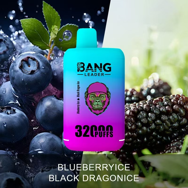 Bang Leader 32000 Puffs Disposable Vape - Dual Pods (28mL+28mL), 650mAh Battery, 0% to 5% Nicotine gallery image 5