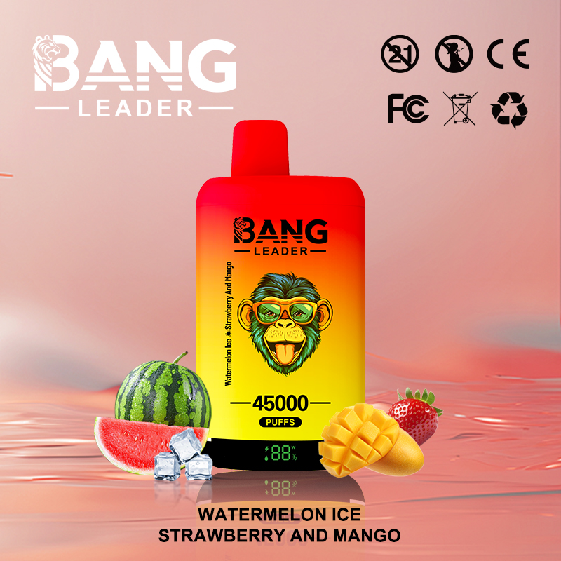 Bang Leader 45000 Puffs Vape | High-Capacity Disposable E-Cigarette with 650mAh Battery gallery image 1