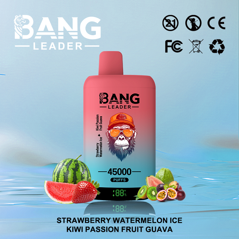 Bang Leader 45000 Puffs Vape | High-Capacity Disposable E-Cigarette with 650mAh Battery gallery image 2