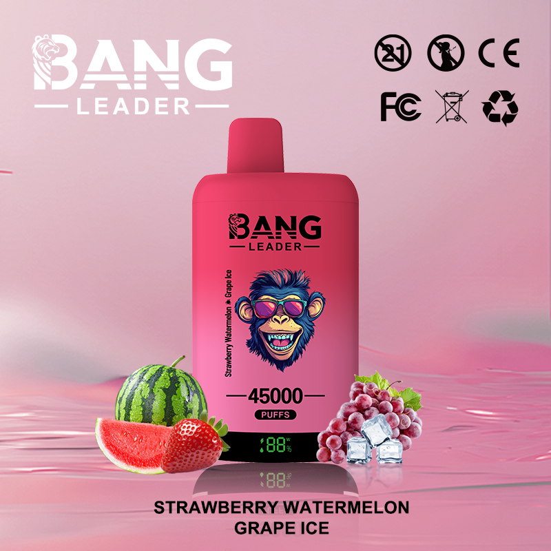 Bang Leader 45000 Puffs Vape | High-Capacity Disposable E-Cigarette with 650mAh Battery gallery image 3