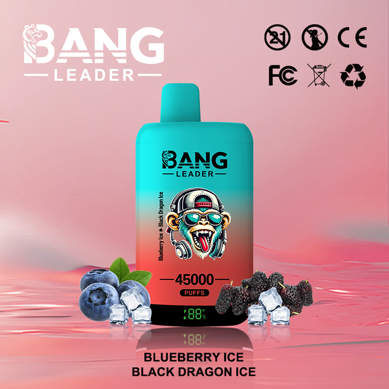 Bang Leader 45000 Puffs Vape | High-Capacity Disposable E-Cigarette with 650mAh Battery gallery image 4