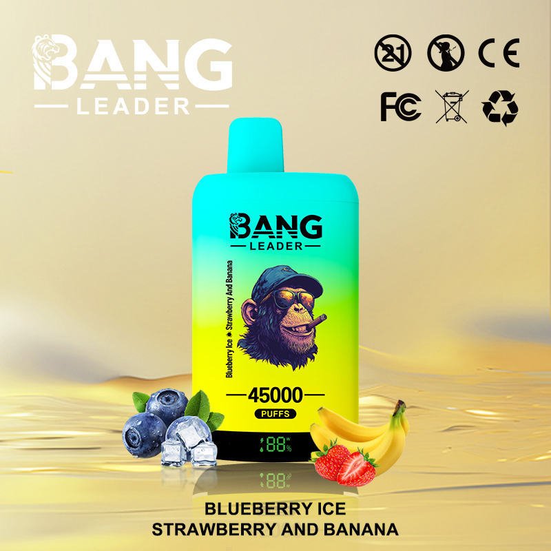 Bang Leader 45000 Puffs Vape | High-Capacity Disposable E-Cigarette with 650mAh Battery gallery image 5
