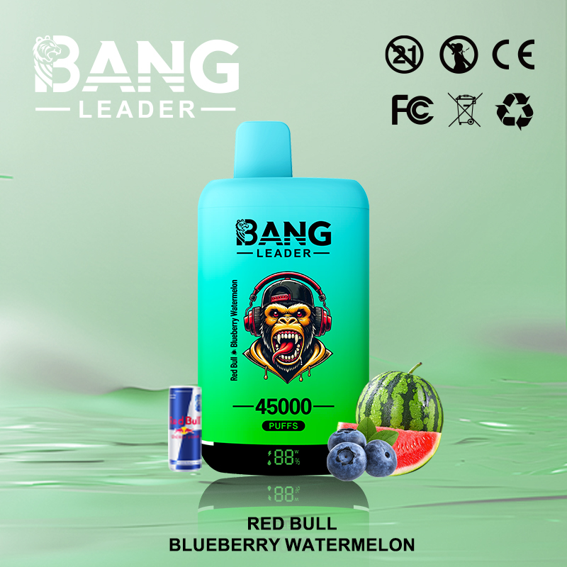 Bang Leader 45000 Puffs Vape | High-Capacity Disposable E-Cigarette with 650mAh Battery gallery image 6