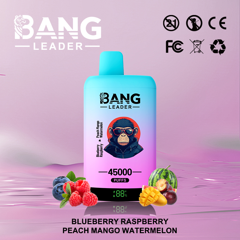 Bang Leader 45000 Puffs Vape | High-Capacity Disposable E-Cigarette with 650mAh Battery gallery image 8