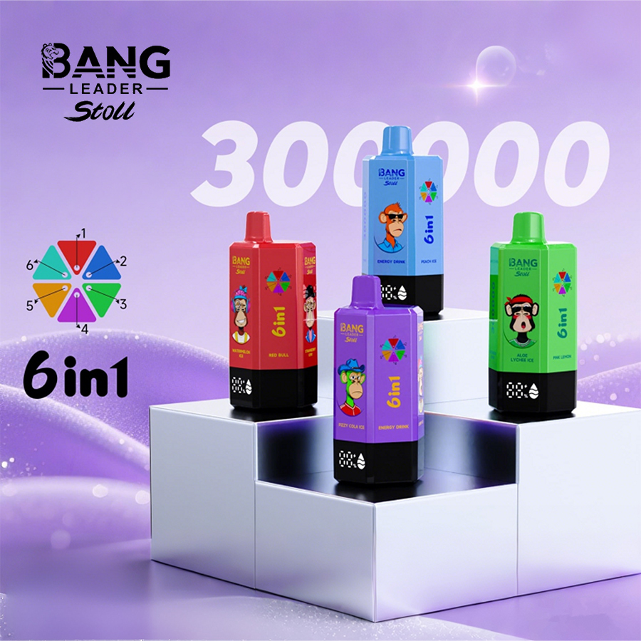 Bang Leader Stoll 300000 Puffs Vape – 6-in-1 Flavor System Ultra Capacity Mesh Coil Type-C Recharge OEM/ODM Supported