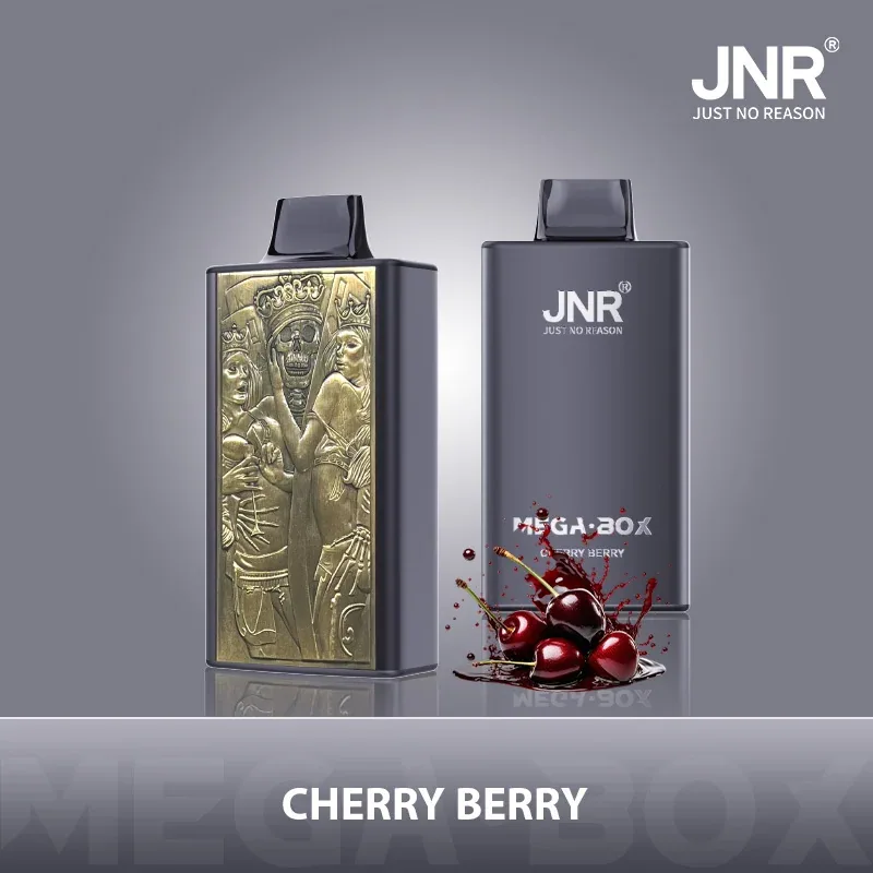 JNR Mega Box 25000 Puffs Disposable Vape gallery image 6
