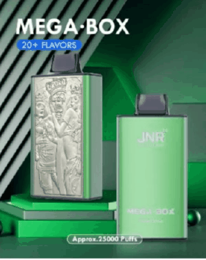 JNR Mega Box 25000 Puffs Disposable Vape gallery image 2