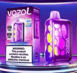 VOZOL Rave 40000 Puffs 50mg Disposable Vape gallery image 2
