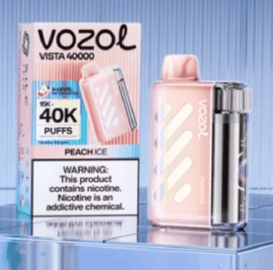 VOZOL Vista 40000 Puffs 50mg Disposable Vape gallery image 2